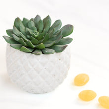 Load image into Gallery viewer, Tea Time! - "Hello Sunshine"