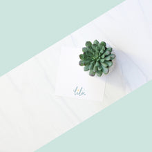 Load image into Gallery viewer, Realistic faux succulent in a decorative pot, included in the "Hello Sunshine" gift box alongside a greeting card, Ray of Sunshine Lemondrops, and a soy candle.