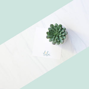 Realistic faux succulent in a decorative pot, included in the "Hello Sunshine" gift box alongside a greeting card, Ray of Sunshine Lemondrops, and a soy candle.