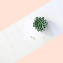 Load image into Gallery viewer, Realistic faux succulent in a decorative pot, included in the &quot;Best Gal&quot; gift box alongside a greeting card, Ray of Sunshine Lemondrops, and  Floral Tumbler
